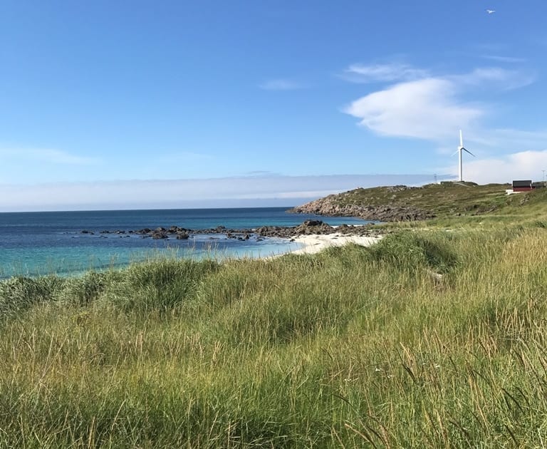 Natur pur in Norwegen