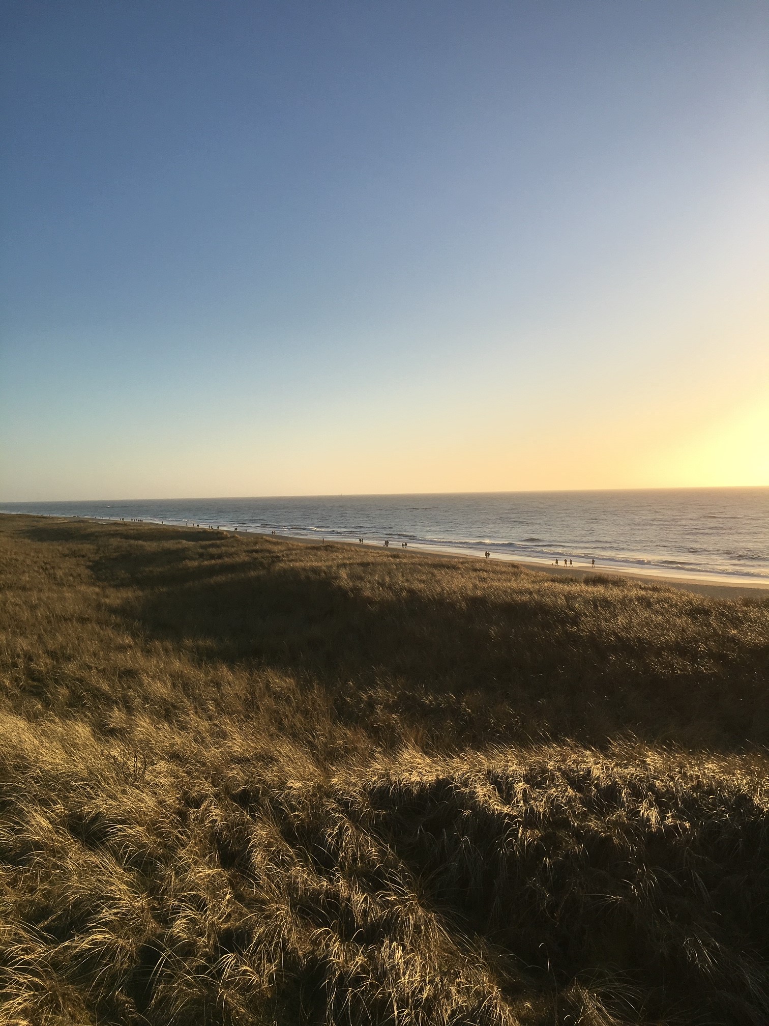 die wunderschöne Insel Sylt