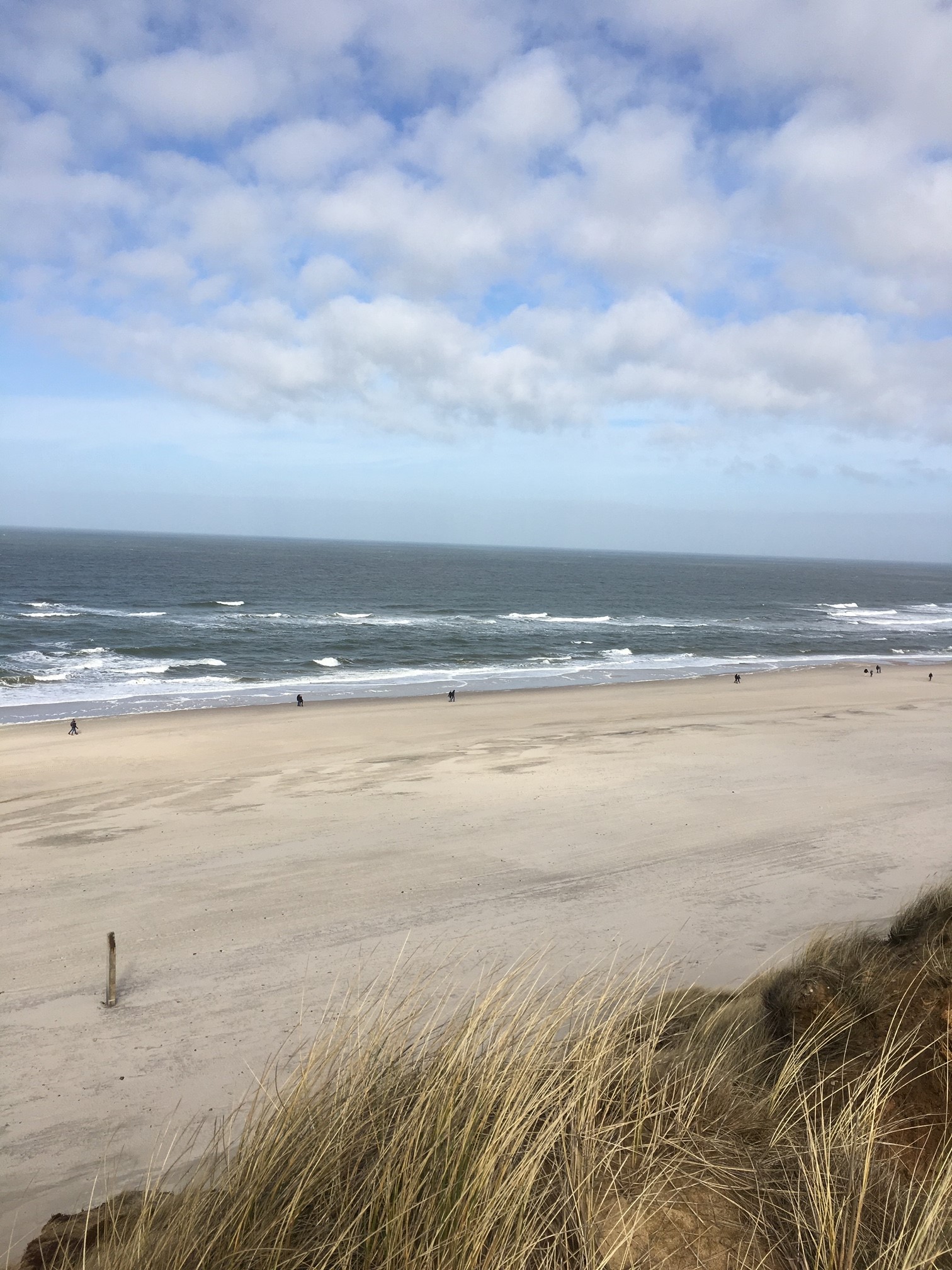 die wunderschöne Insel Sylt