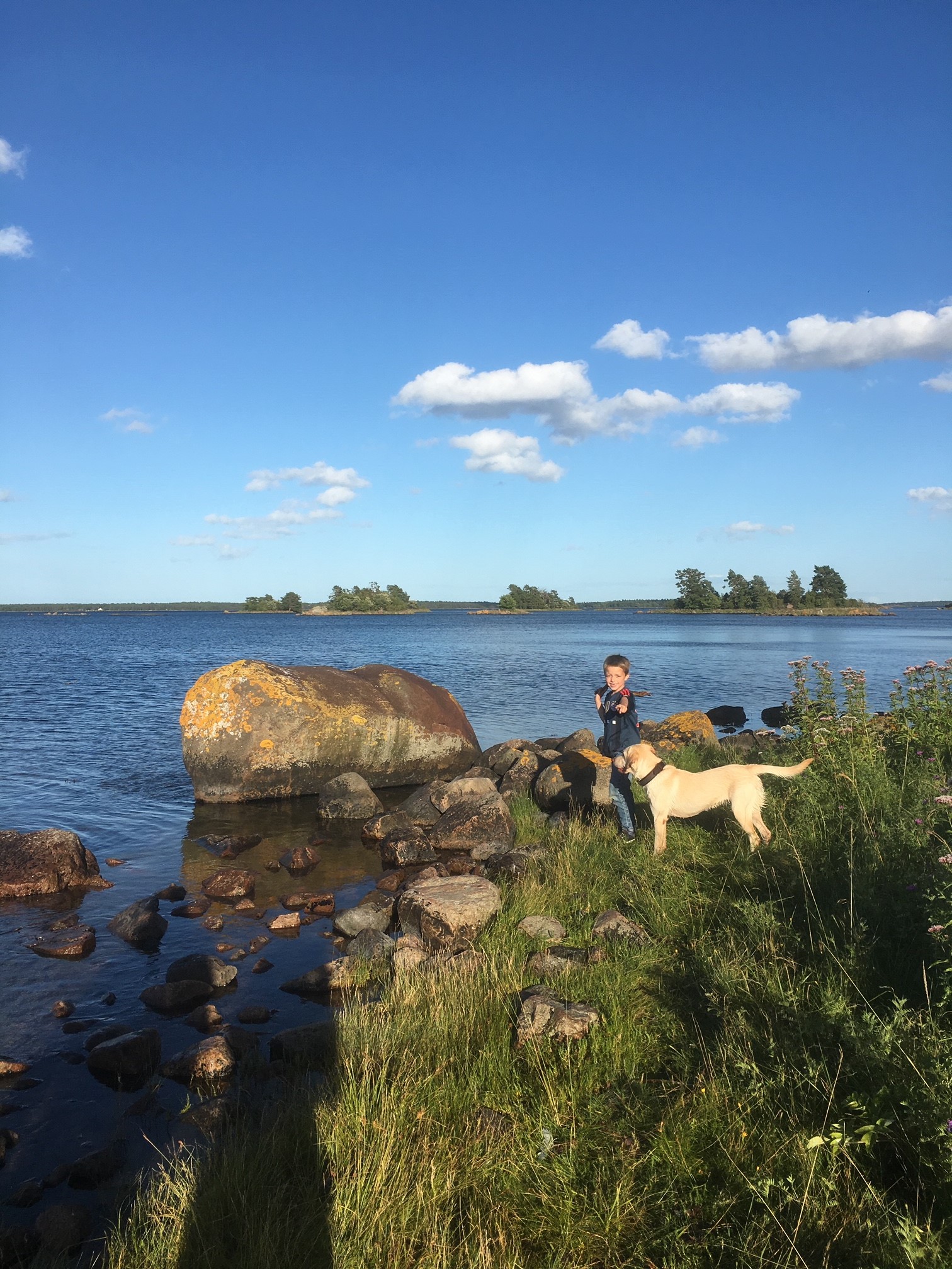 Wohnmobil Roadtrip Dänemark Schweden