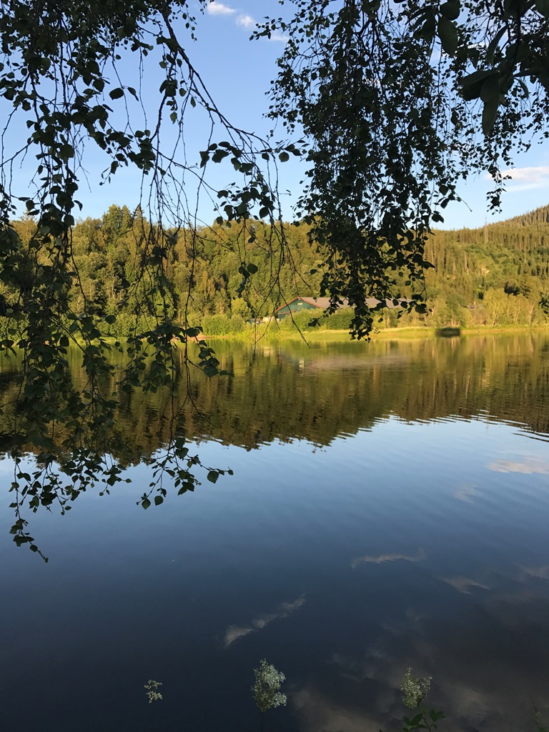 Natur pur in Norwegen