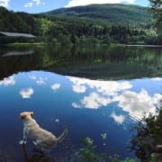 Natur pur in Norwegen