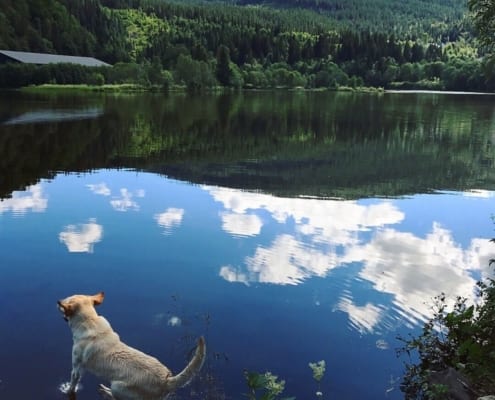 Natur pur in Norwegen