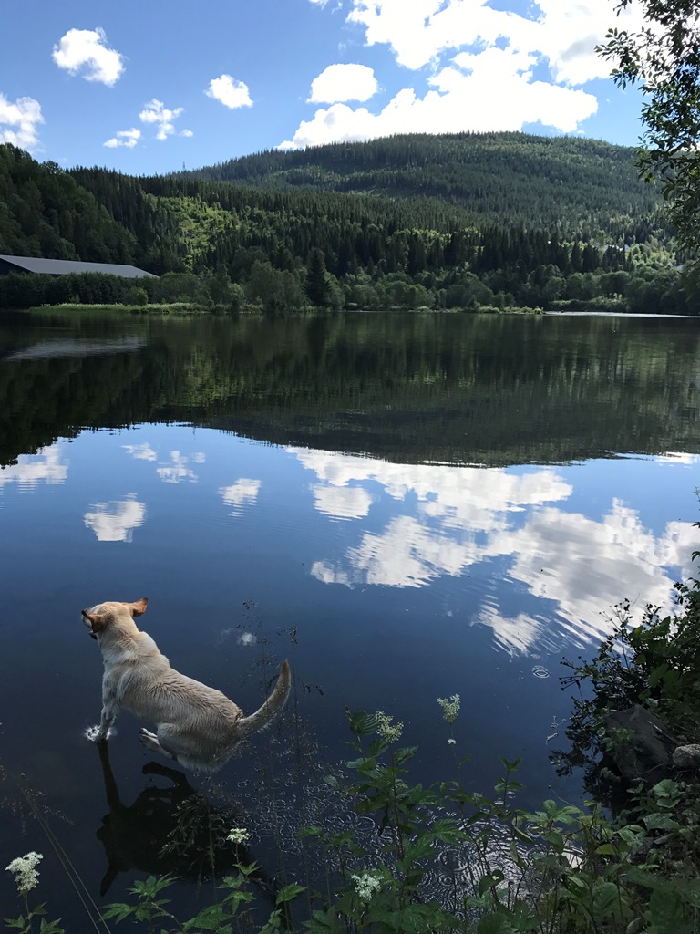 Natur pur in Norwegen