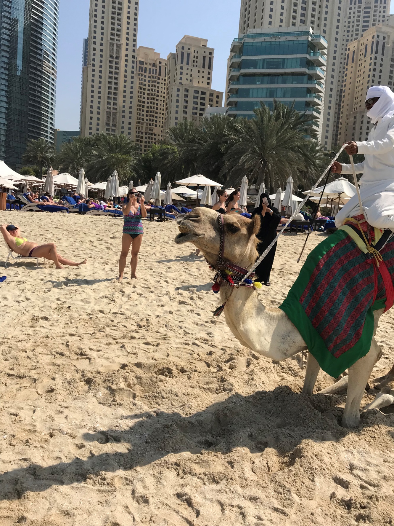 Highlights in Dubai