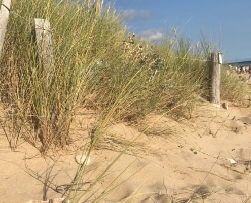 Sehenswürdigkeiten auf der Île de Ré