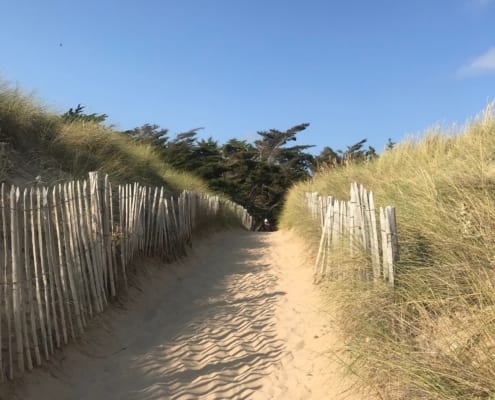 Sehenswürdigkeiten auf der Île de Ré