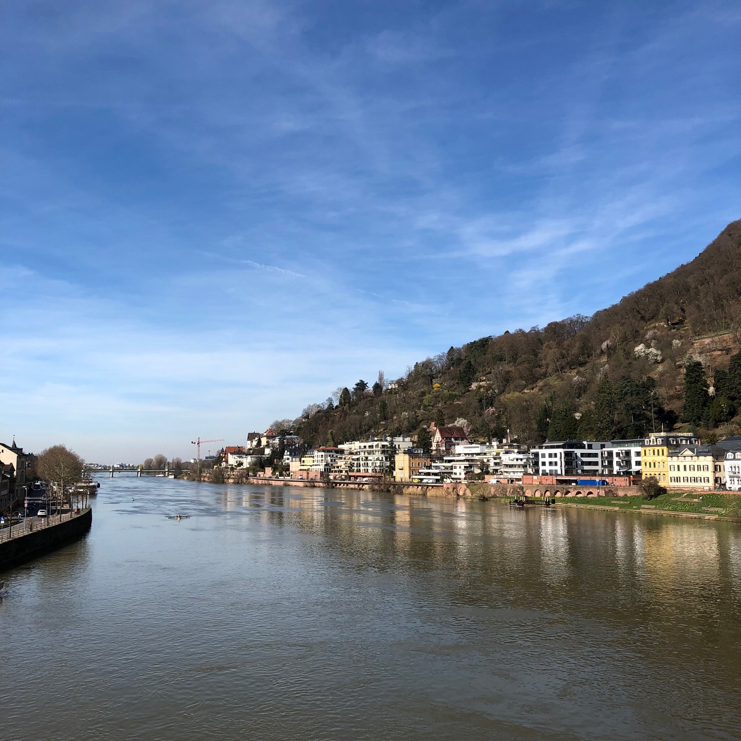 Romantisches Heidelberg