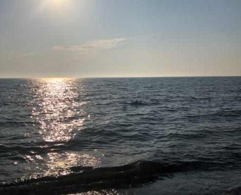 Amy schwimmt in den Sonnenuntergang Marielyst auf der dänischen Insel Falster