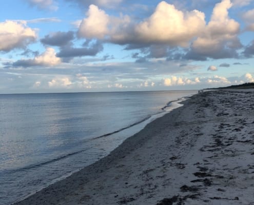 Magisch Marielyst auf der dänischen Insel Falster
