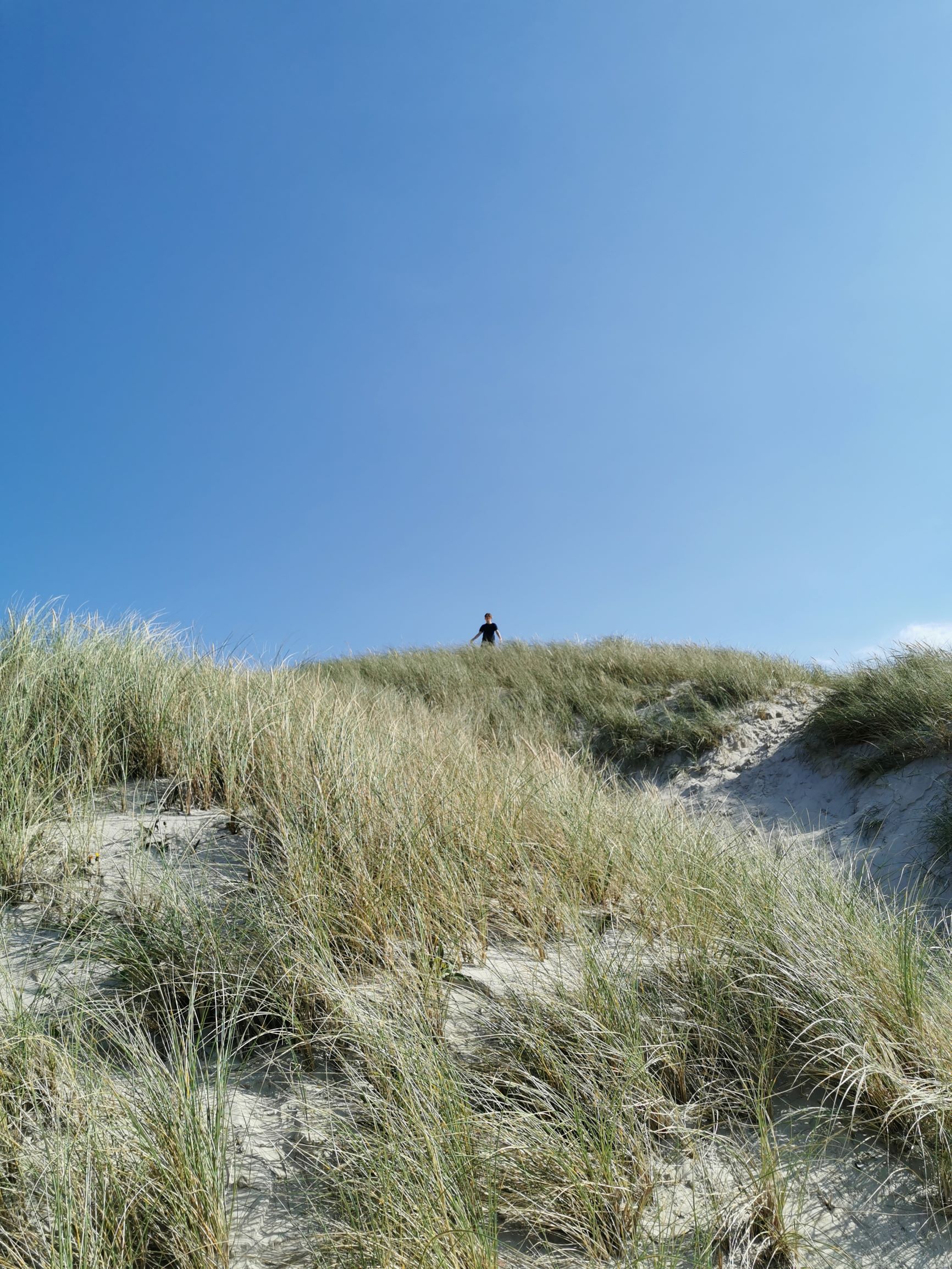 Blokhus und Tranum in Nordjylland