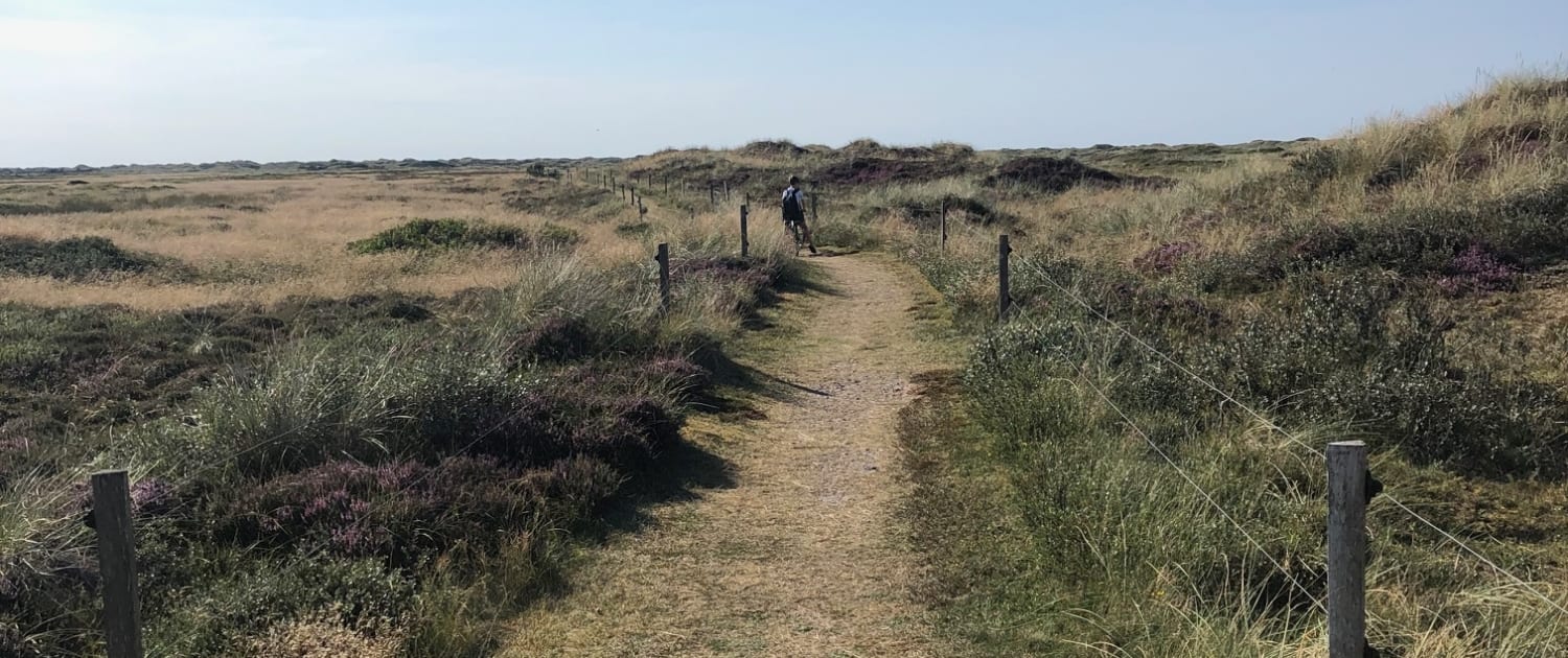 Blokhus und Tranum in Nordjylland