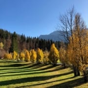 Goldener Oktober in Mittenwald
