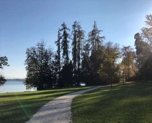 Der zauberhafte Starnberger See