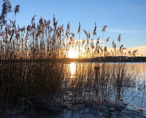 Berg am Starnberger See