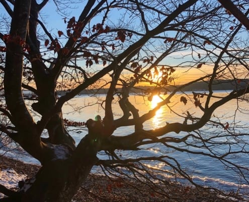 Berg am Starnberger See