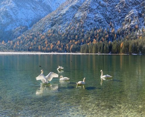 Ein Wochenende in Südtirol